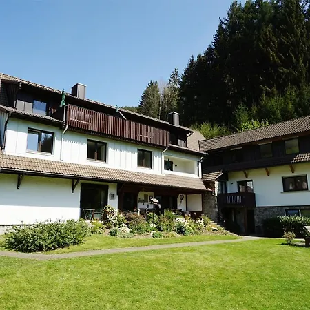 Апартаменты Schultiskopf - Stubenhof, Black Forest Зимонсвальд