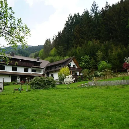 Schultiskopf - Stubenhof, Black Forest *