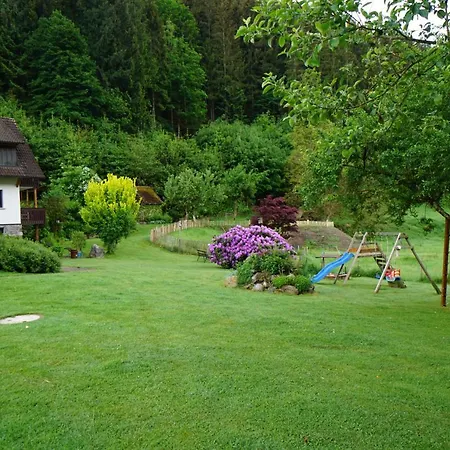 Schultiskopf - Stubenhof, Black Forest *
