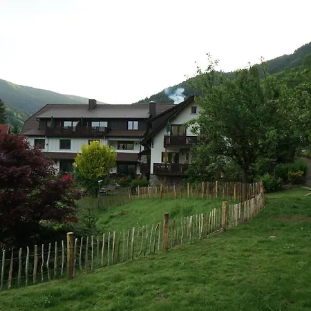 Schultiskopf - Stubenhof, Black Forest *