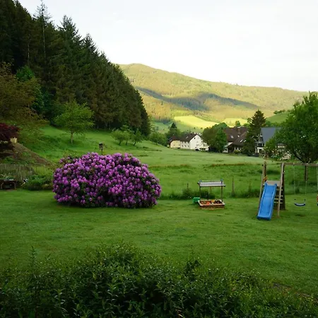 Апартаменты Schultiskopf - Stubenhof, Black Forest *