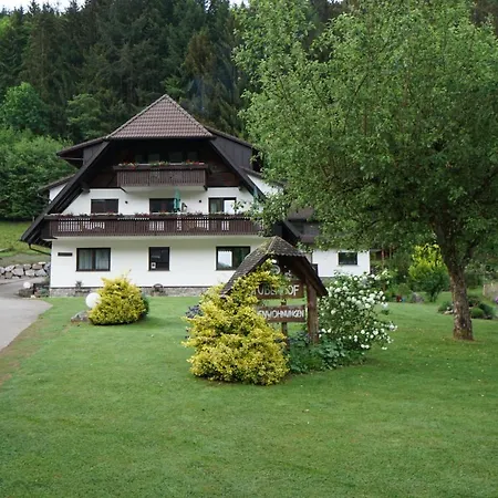 Schultiskopf - Stubenhof, Black Forest * Зимонсвальд