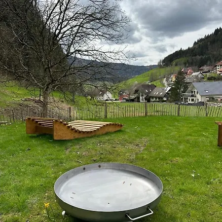 Schultiskopf - Stubenhof, Black Forest * Зимонсвальд